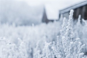 梦见冰雪是什么意思？