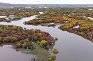 井泉水命一生运势