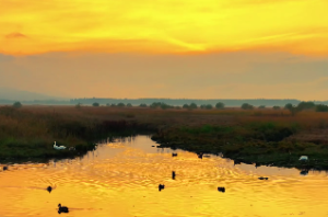 紫微斗数中关于身宫的秘密