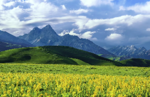 八字地支合代表什么意思