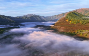 痣相决定命运吗