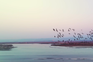 雷地豫卦详解 卦辞