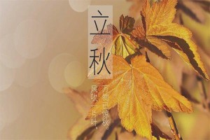 2025年立秋节气是哪一天几月几号几点开始