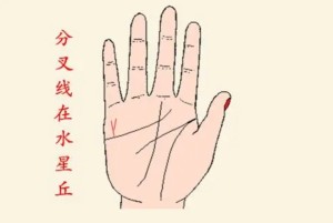 哪些手相的人能赚大钱
