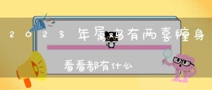 2023年属鸡有两喜缠身