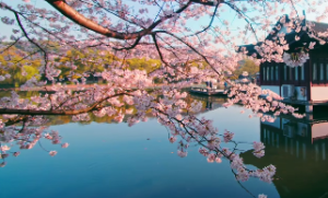 泽火革卦详解吉凶