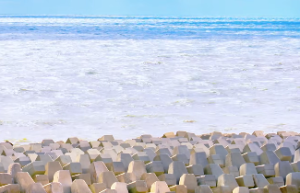 独自贯彻初衷的类型格