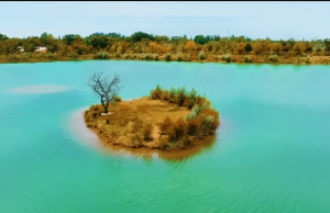 沉香木适合女生佩戴么