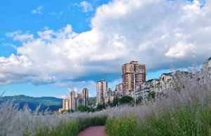 八字里的十恶大败日是什么意思