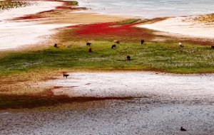 生辰八字是指什么?