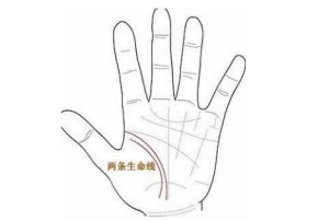 手相生命线有两根