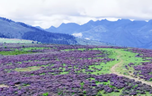 泽天夬卦是吉是凶