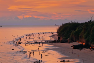 乾为天卦白话文详解