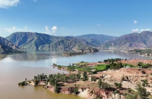 左右同宫格男命