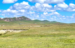 井泉水命最忌什么