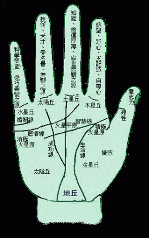 各指节所代表的性格详解