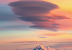 机月同梁格女命性格