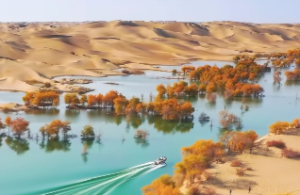 震为雷卦详解考试