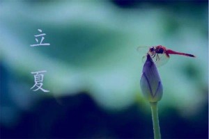 2025年立夏节气是哪一天几月几号几点开始