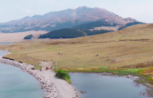 最旺沙中土命的人