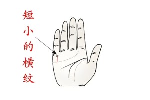 什么手相聚财最旺