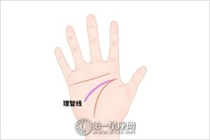 女的手相图解大全
