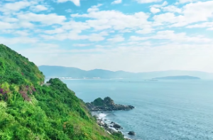 紫微斗数飞星什么意思