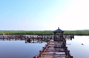 沙中金最厉害三个属相