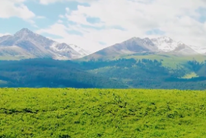 双禄夹命是什么意思