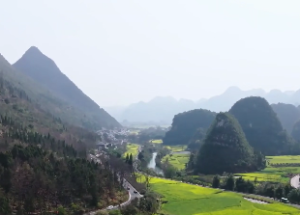 机巨在酉论命实例