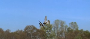 比肩在不同位置的含义