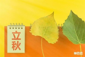 立秋是秋天的第一天吗?
