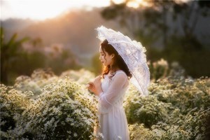 五行相克的特点是什么