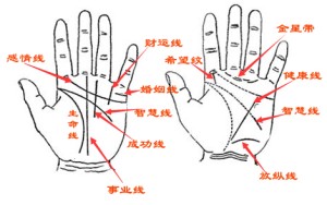 手相看年龄 手相年龄段划分