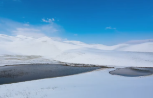 八字中正官星是什么意思