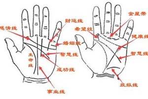 手相怎样看女人有多少个男人
