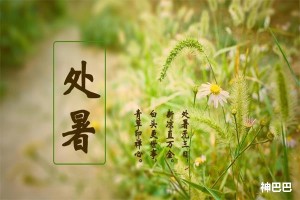处暑是三伏的最后一天吗