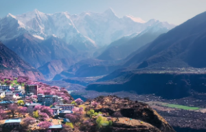 紫微斗数教程断事速成