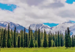 泽火革卦是吉卦么