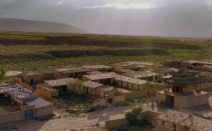 限运与大运哪个更准