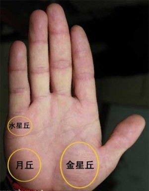 最受欢迎的女性手相图解图片
