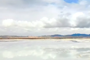 文星命格是什么命理