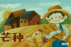 芒种有哪些传统风俗