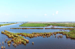 四柱中用神是什么意思