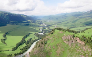 羊陀夹忌是什么意思