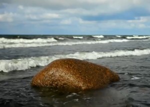 紫薇看财富等级