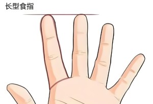 食指比较长代表什么