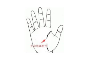 生命线断开了是什么意思