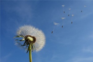 梦见和风是什么意思？
