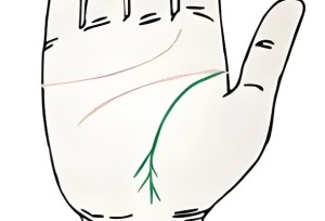 生命线有分叉是什么意思，代表什么
